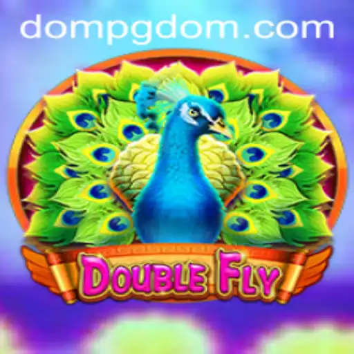 Exploring the Dynamic Universe of DoubleFly